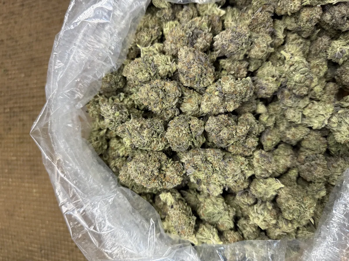 Oreoz Flower